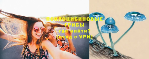 стаф Арсеньев