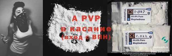 стаф Арсеньев