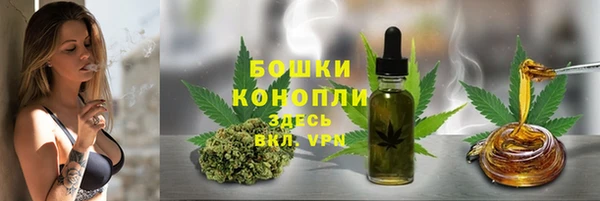 стаф Арсеньев