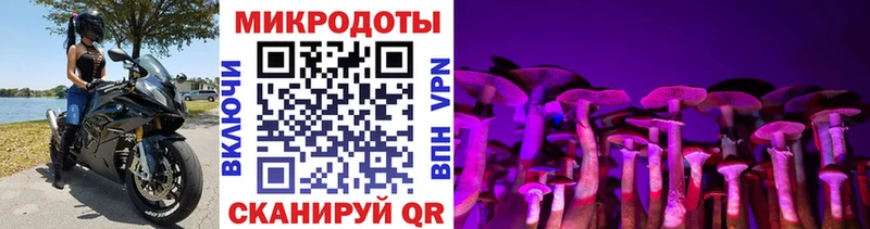 гидра вход  Сергач  Псилоцибиновые грибы Psilocybe 